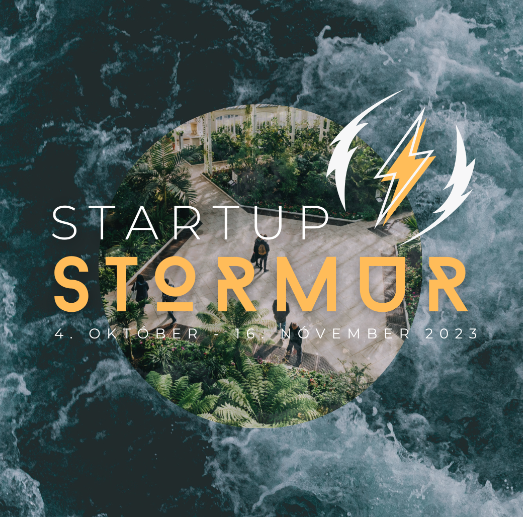 Startup Stormur