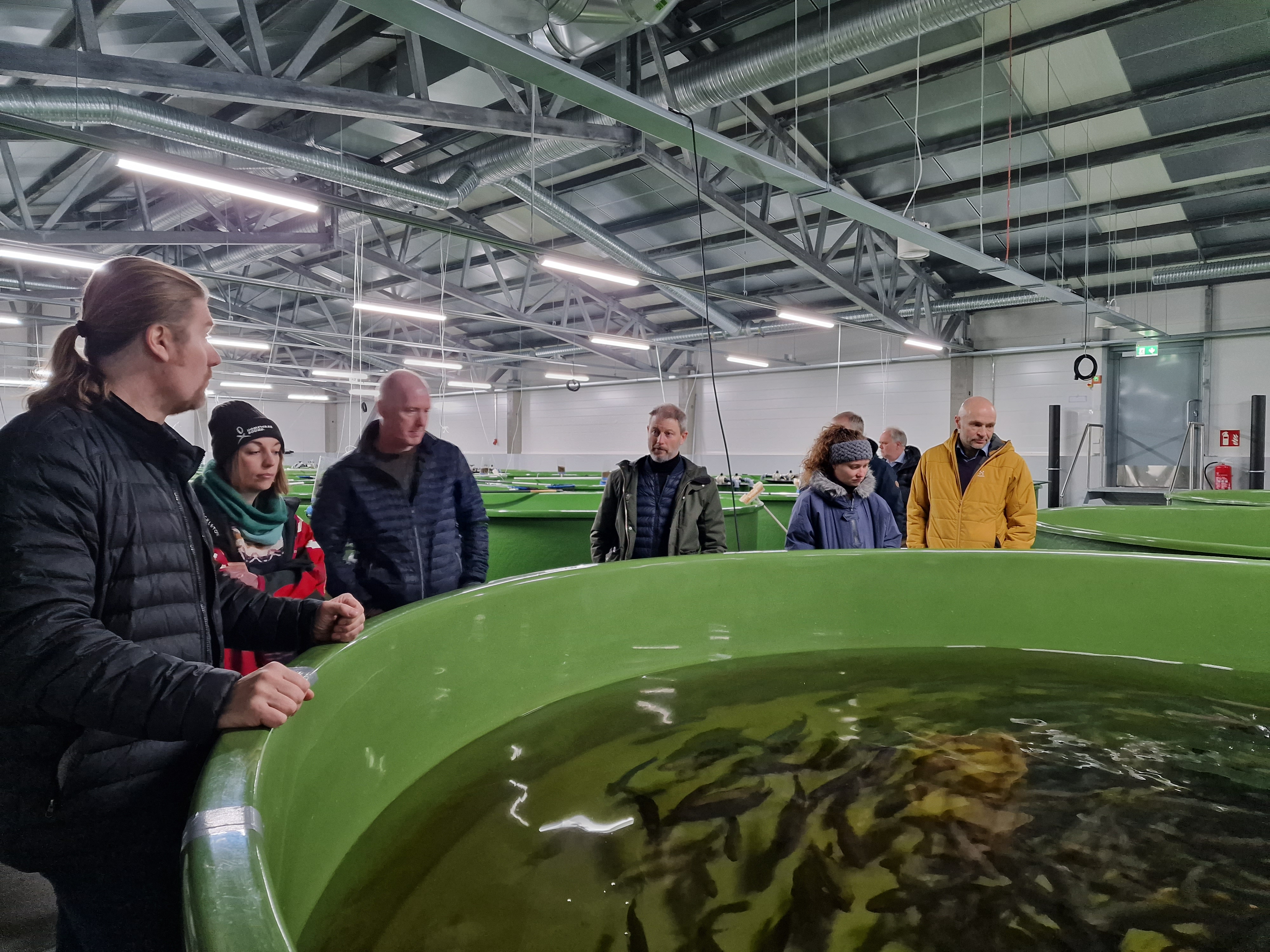 Visit at Nordic Trout Aquaculture Plant