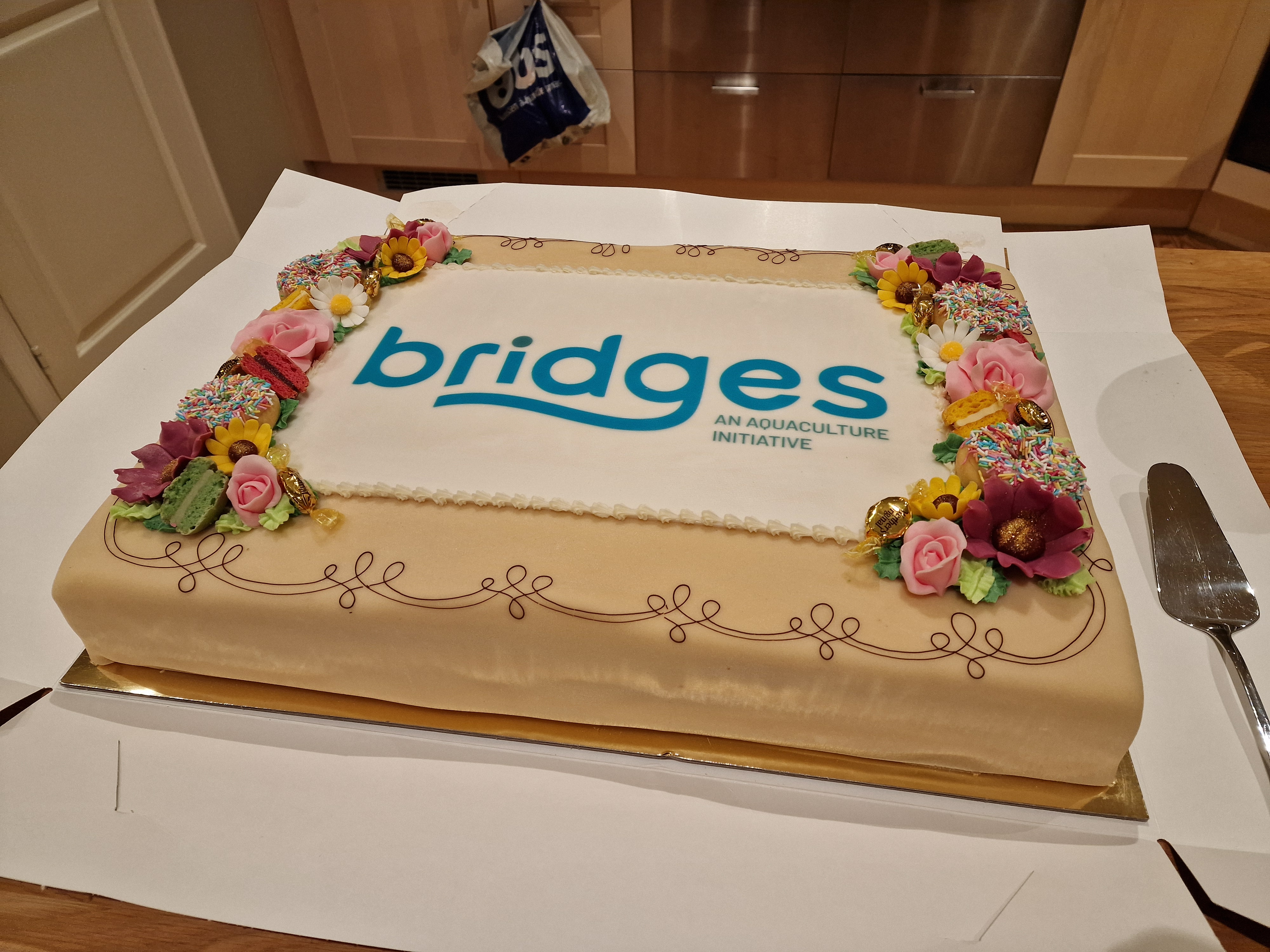 BRIDGES end-of project partner meeting