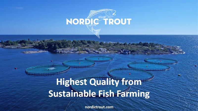 Nordic Trout